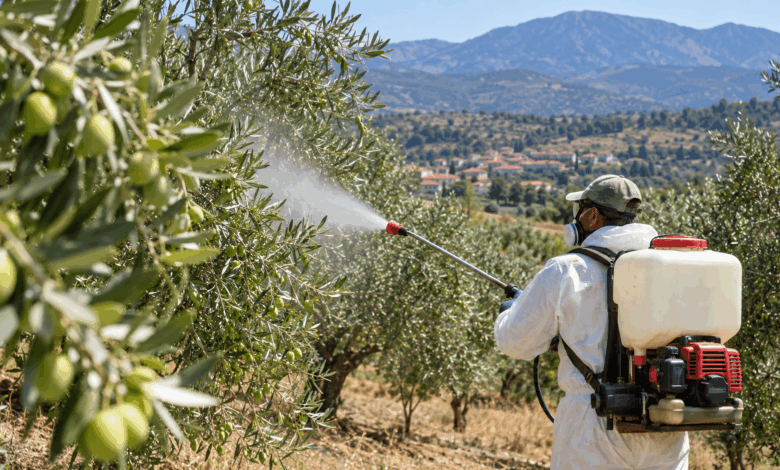 Λάρισα-–-5ος-ψεκασμός-για-τον-δάκο-από-30-Σεπτεμβρίου