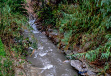 Ακίνητα:-Στον-ψηφιακό-χάρτη-8200-χλμ.-ρεμάτων-–-Τι-αλλάζει-για-οικοδομικές-άδειες-και-οικόπεδα