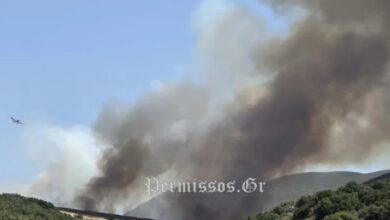 Η-φωτιά-στον-Μύτικα-Θήβας-ξεκίνησε-από-εργασίες-σε-φωτοβολταϊκό-πάρκο-–-Δύο-συλλήψεις