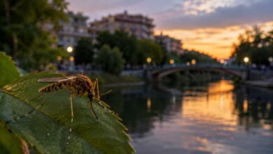 Τρίκαλα:-Στα-5-τα-κρούσματα-του-Δυτικού-Νείλου