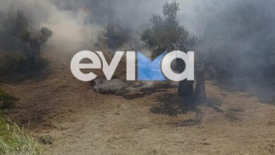 Φωτιά-στην-Κύμη-Ευβοίας:-Συνελήφθη-55χρονος-για-εμπρησμό-–-Αφέθηκε-ελεύθερος