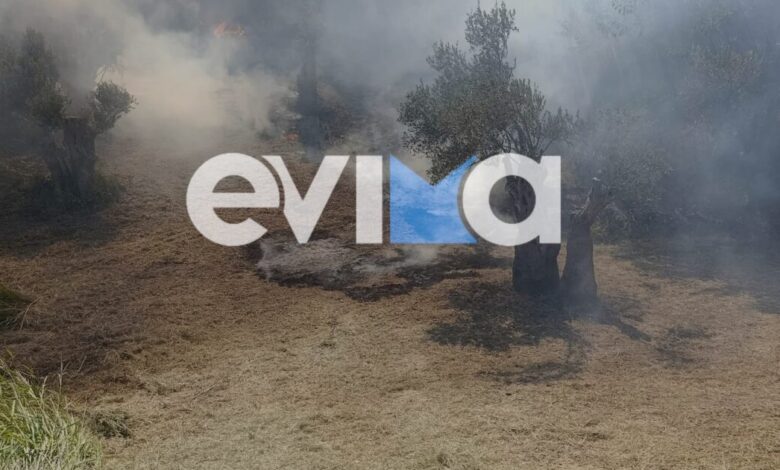 Φωτιά-στην-Κύμη-Ευβοίας:-Συνελήφθη-55χρονος-για-εμπρησμό-–-Αφέθηκε-ελεύθερος