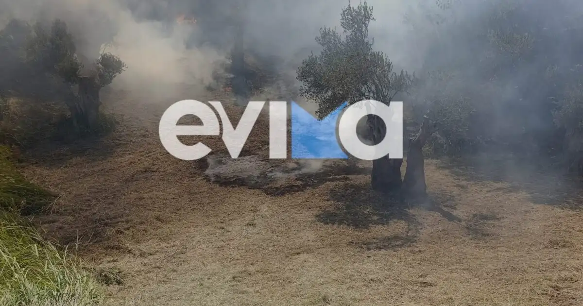 Φωτιά-στην-Κύμη-Ευβοίας:-Συνελήφθη-55χρονος-για-εμπρησμό-–-Αφέθηκε-ελεύθερος
