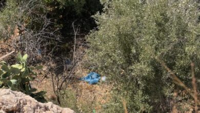 Κυψέλη:-Βρέθηκαν-ανθρώπινα-οστά-κοντά-σε-γήπεδο-στην-Αλεπότρυπα
