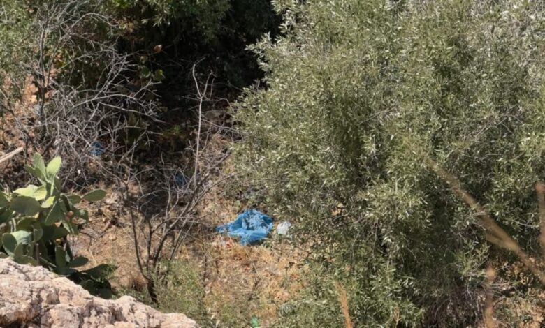 Κυψέλη:-Βρέθηκαν-ανθρώπινα-οστά-κοντά-σε-γήπεδο-στην-Αλεπότρυπα