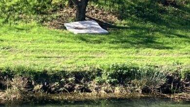 Το-ανθεκτικότερο-«αξιοθέατο»-του-Ληθαίου