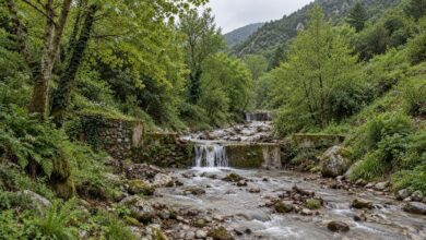 Θεσσαλία:-123-εκατ.-ευρώ-για-αντιπλημμυρικά-έργα-–-Πως-θα-λειτουργήσει-το-πρόγραμμα-ορεινής-υδρονομίας