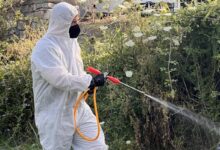 Έξαρση-για-τον-ιό-του-Δυτικού-Νείλου:-7-πλέον-τα-κρούσματα-στον-Δήμο-Τρικκαίων,-δύο-υπό-διερεύνηση