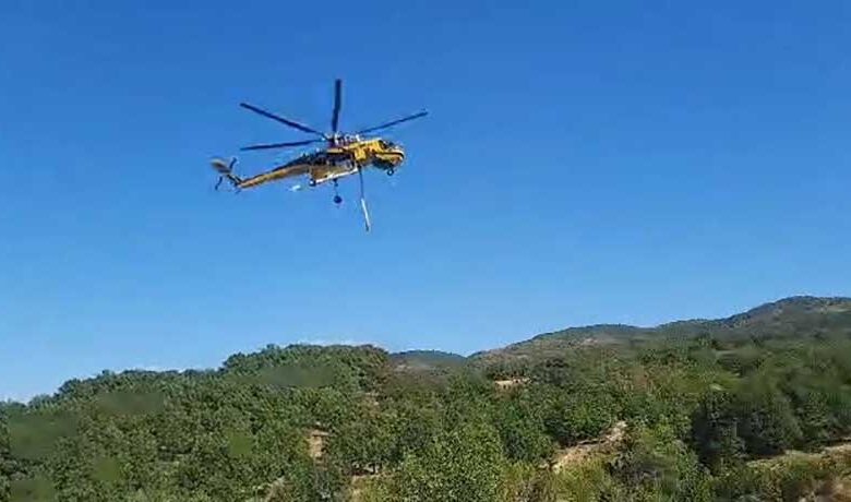 Φωτιά-στο-Αγιόφυλλο-Τρικάλων:-54-πυροσβέστες-και-ελικόπτερο