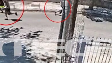 Η-στιγμή-της-επίθεσης-από-συμμορία-νεαρών-σε-ηλικιωμένη-για-να-την-ληστέψουν-–-Βίντεο-ντοκουμέντο