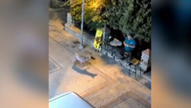 Χαλκιδική:-Λύκος-«κόβει»-βόλτες-δίπλα-σε-κάτοικο-στη-Νικήτη-–-Ανησυχία-στην-τοπική-κοινωνία