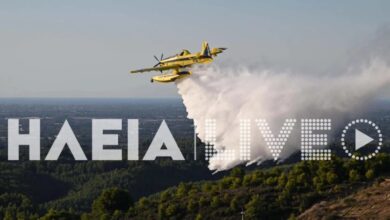 Φωτιά-στην-Ηλεία-στην-περιοχή-Τριανταφυλλιά-–-Ισχυρές-δυνάμεις-στο-σημείο