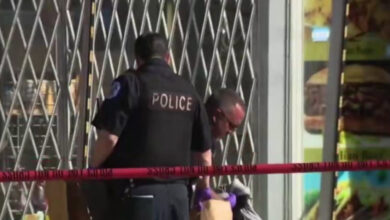Φρίκη-στο-Σικάγο:-Γυναίκα-μαχαίρωσε-πισώπλατα-και-σκότωσε-7χρονη-που-περπατούσε-αμέριμνη-–-Περαστικοί-την-ακινητοποίησαν