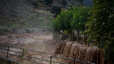 Ρέθυμνο:-«Έκρηξη»-στα-περιστατικά-γαστρεντερίτιδας-–-Εξετάζεται-εάν-συνδέονται-με-τις-πρόσφατες-πλημμύρες