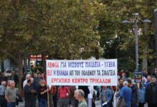 Εργατικό-Κέντρο-Τρικάλων-στο-αντιπολεμικό-συλλαλητήριο-της-Λάρισας