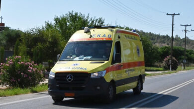 Τραγωδία-στην-Αχαΐα:-Νεκρός-άνδρας-που-πήγε-να-κόψει-δέντρο-και-τον-καταπλάκωσε
