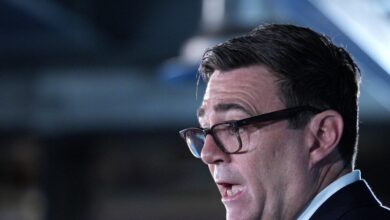 Ο-Άντι-Μπέρναμ-επιβεβαιώνει-τη-ρωσική-παρέμβαση-στην-ψηφοφορία-για-το-brexit