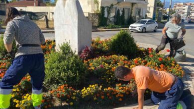 Τρίκαλα:-Καθαρισμοί-και-κλαδεύσεις-σε-γειτονιές-της-πόλης