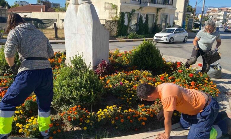 Τρίκαλα:-Καθαρισμοί-και-κλαδεύσεις-σε-γειτονιές-της-πόλης
