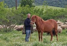 Πηνειάδα:-Την-Τρίτη-η-κηδεία-του-Απόστολου-Καψιώχα