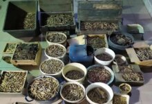 Ρέθυμνο:-Συνελήφθη-59χρονος-με-πιστόλι-και-1361-φυσίγγια