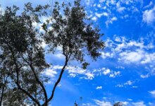 Καιρός-αύριο:-Ηλιοφάνεια-και-άνοδος-της-θερμοκρασίας