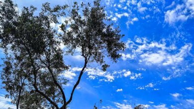 Καιρός-αύριο:-Ηλιοφάνεια-και-άνοδος-της-θερμοκρασίας