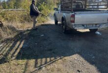 Ευλογιά-αιγοπροβάτων:-Σταθμός-απολύμανσης-στη-Μύκανη
