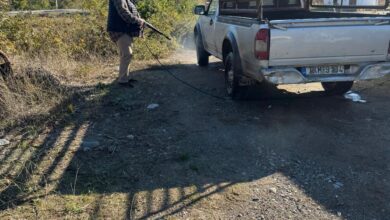 Ευλογιά-αιγοπροβάτων:-Σταθμός-απολύμανσης-στη-Μύκανη